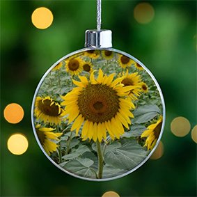 Bolas personalizada para arbol de navidad.