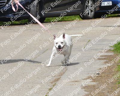 F.-Vargas-14-03-2026-015